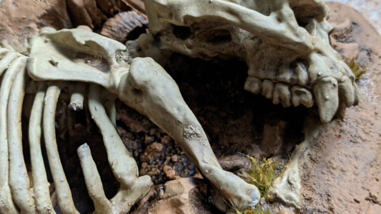 Desert Bones Miniature Terrain